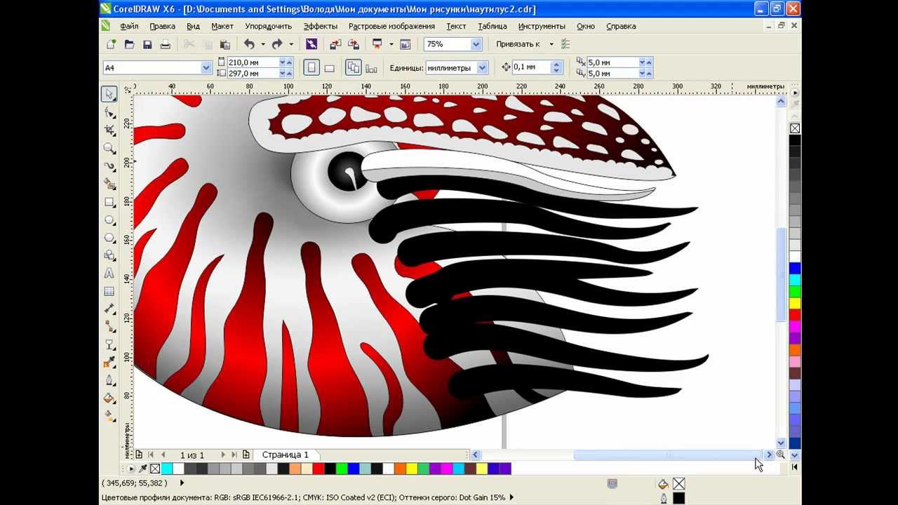 видеоуроки макияжа Рисуем наутилус в CorelDRAW