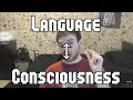 Consciousness and Language Acquisition