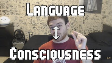Consciousness and Language Acquisition