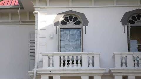 re-rote (fronds) (2025)