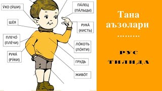 ЧАСТИ ТЕЛА || TANA A'ZOLARI Rus tilida || Кундаликда ишлатиладиган сузлар