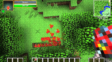 Minions Mod - AWESOME Mod Showcase 1.6.4