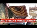 пчелосемьи перед постановкой в зимовник КОНЕЦ СЕЗОНА 2017