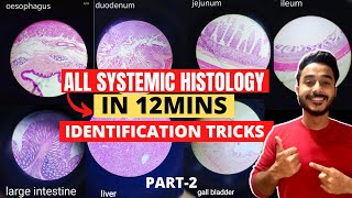 all systemic histology slide identification tricks | Thyroid & Git and duodenum histology slide viva