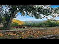 Beauty of the Rhodopes, Bulgaria | Красотата на Родопите