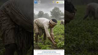 Labour Day | TATA AIG | PMFBY | @tataaigindia @pmfby