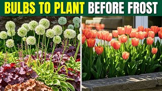 Plant These Bulbs NOW for a Beautiful Spring Garden 🌱✨ screenshot 2