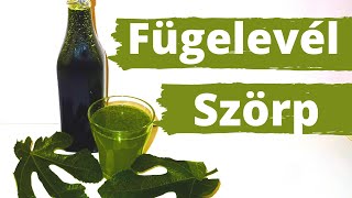 Szörp Készítése A Füge Leveléből. Különleges Ízű Gyógynövény Szörp Recept.