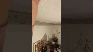 IMG 8322 21:49 20 SEP 2026 BANNIING MY CEILING