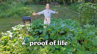 I Started My Garden From Seed — Now Look at This
