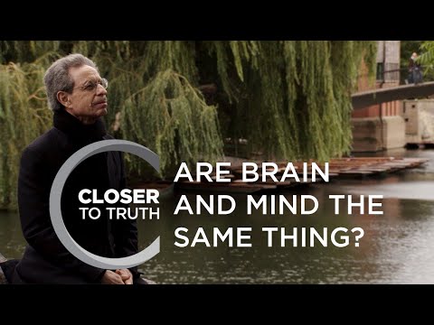 Video: And The Brains Are Different - Alternative View