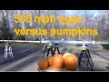 Pumpkin Target Practice With Egg Cannon