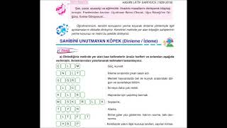 6. Sınıf Türkçe Dersi Sahibini Unutmayan Köpek Dinleme Metni