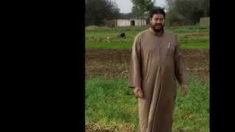 القارئ ايهاب سيد احمد مقاطع من صلاة العشاء22