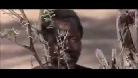 How To Fool A Baboon Into Showing You Where To Find Water v240P