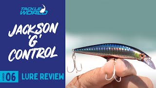 2486 Details about   Jackson G Control 28 Sinking Lure 28 grams GNR