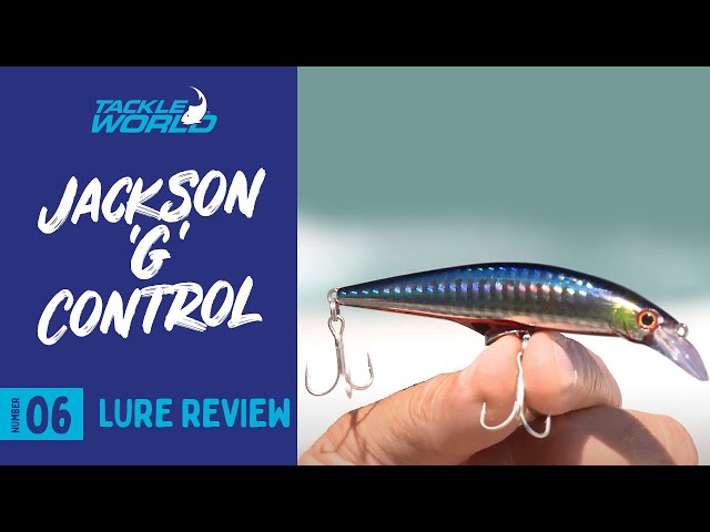 Leurre Minnow Avec Sonde Leurre Coulant Jackson G Control 40g 120mm