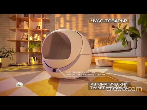 НТВ репортаж "Чудо Техники" - Автоматический туалет для кошек Petree.