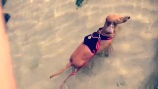 In Jeju Island, South Korea - 08.12. 2013