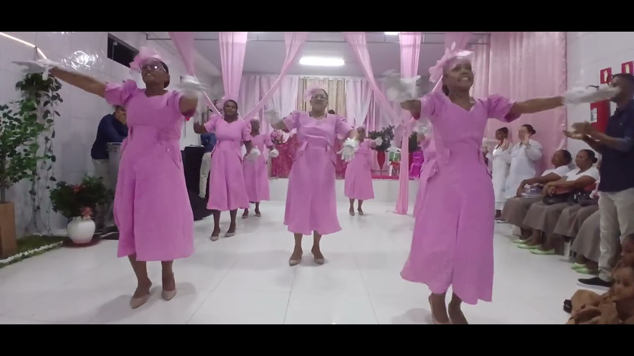 7 anos de colheita 2025