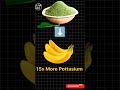 Moringa Benefits | Moringa Powder | #shorts #moringa