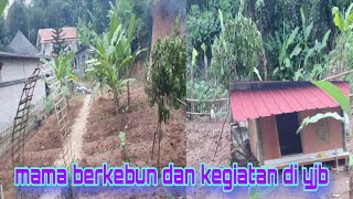 Download Lagu Mama berkebun dan kegiatan di yjb #egoadriano #dedymulyadi #partitv #sinauhurip #pratiwinoviyanthi MP3 Download Lagu Mama berkebun dan kegiatan di yjb #egoadriano #dedymulyadi #partitv #sinauhurip #pratiwinoviyanthi MP3