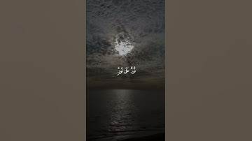 ﴿نورٌ عَلىٰ نورٍ﴾ تلاوة خاشعة 🤍 ."