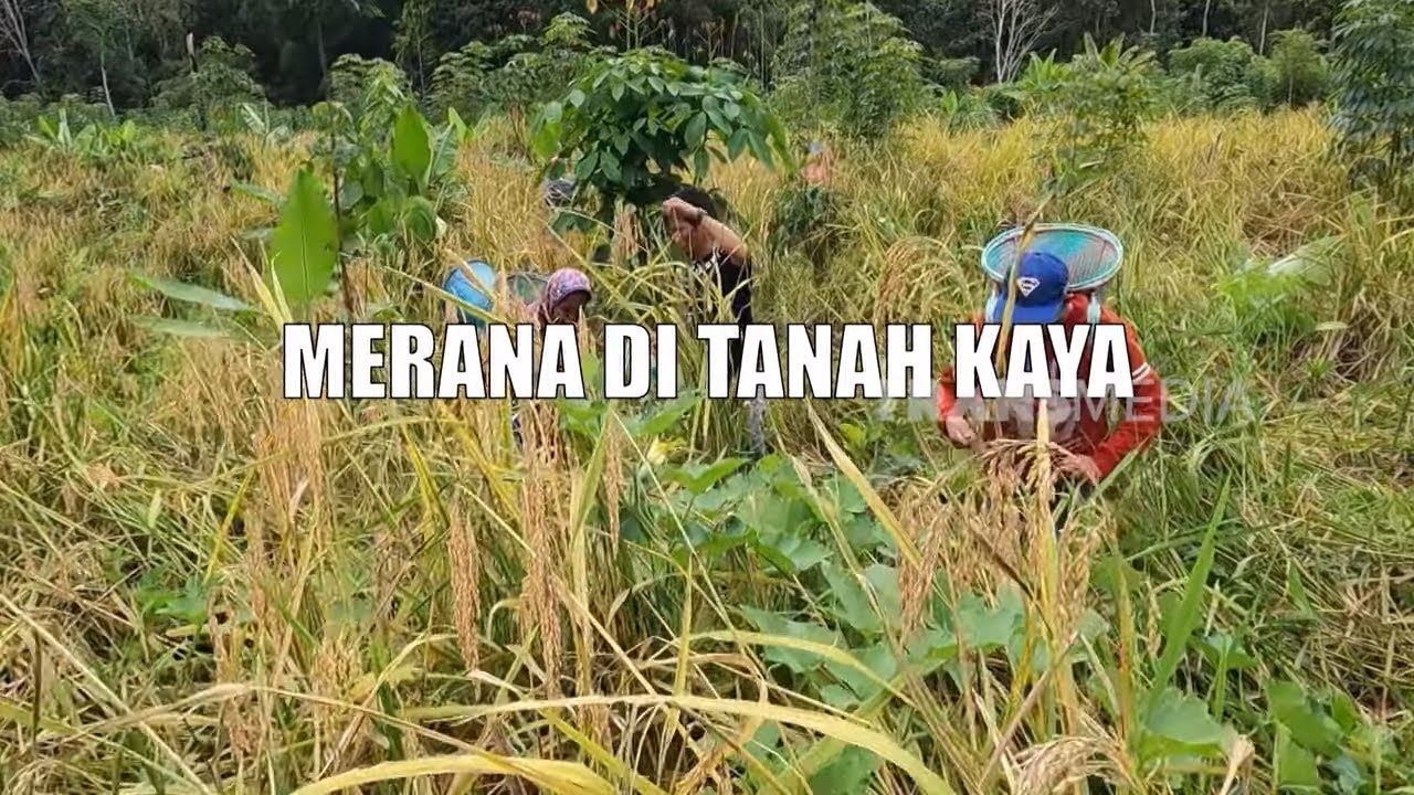 [FULL] MERANA DI TANAH KAYA | INDONESIAKU (21/01/25)