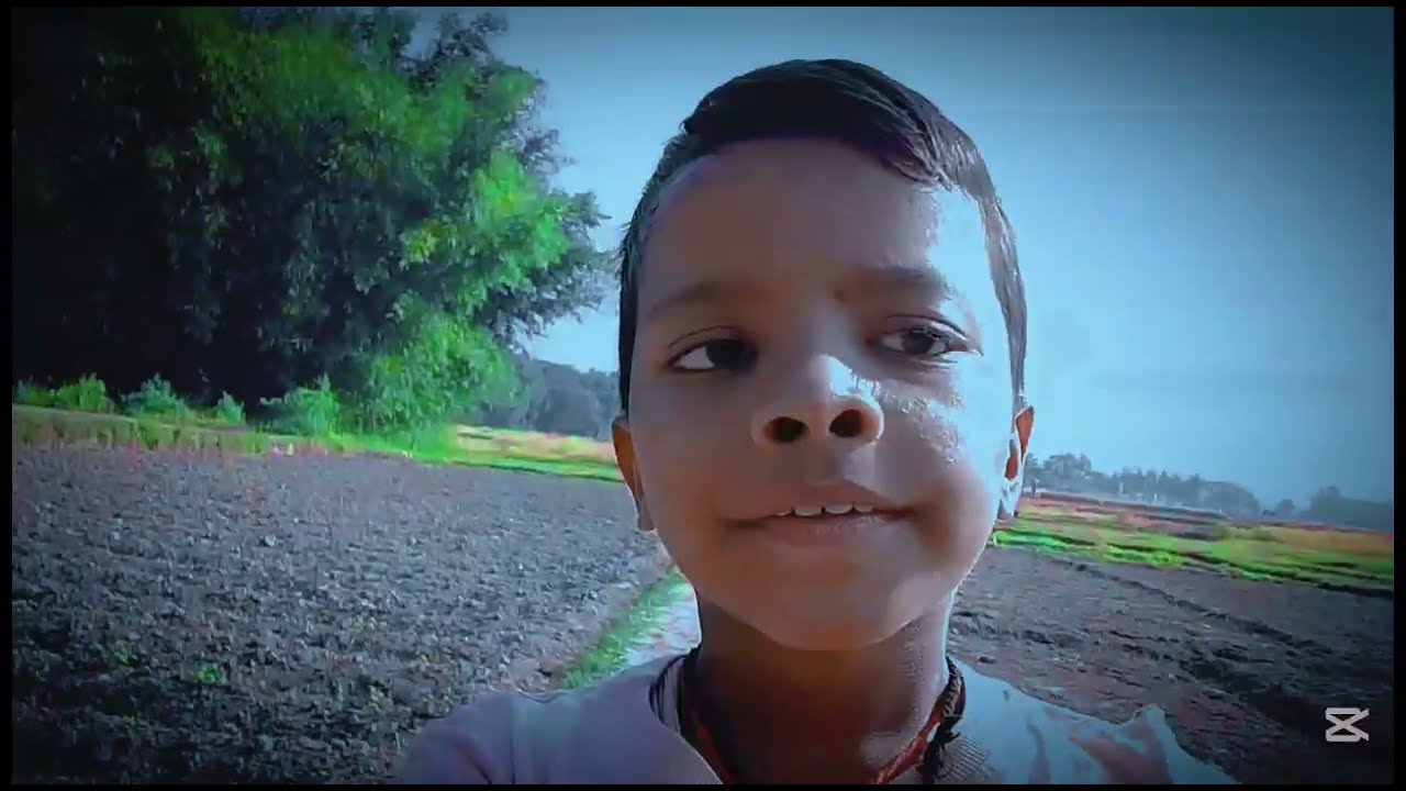 Funny 🤣😆😅 video money 🤑🦖 dinosaur