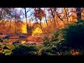 Золотая Сказочная Осень, Пение Птиц для Релаксации Отдыха 4K Ultra HD