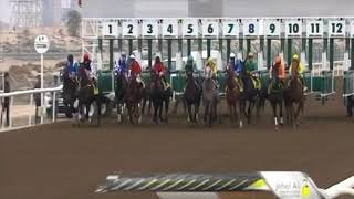 CHESS MASTER very good Horse screenshot 5