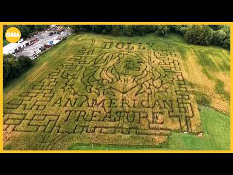 Dolly Parton honored in corn mazes across the US