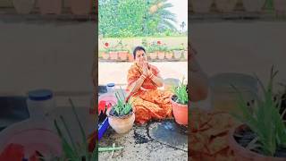 ଘରେ ଏହି ଗଛ ଲଗାନ୍ତୁ ଫାଇଦା ପାଆନ୍ତୁ #vastuplant #nirupamavlogs #vastutips #vastuforhome #shortvideo