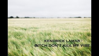 [Vietsub + Lyrics] Kendrick Lamar - Bitch Don't Kill My Vibe (Explicit)