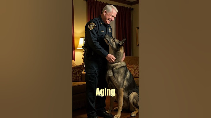 Reunited in Love A Retired Officer’s Heartwarming Reunion with His Loyal K9 #dogreunion #loyaldog