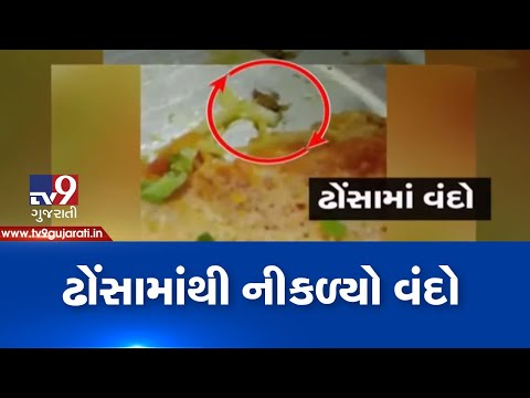 Ahmedabad: Honest restaurant in trouble as customer finds cockroach in Dosa| TV9News