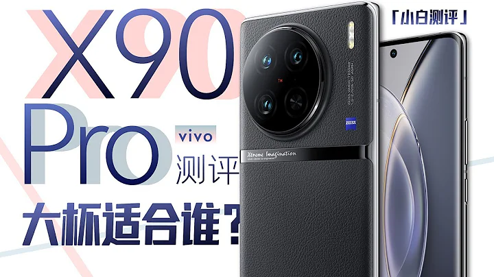 「小白」vivo X90 Pro測評：天璣9200+IMX989 大杯適合誰？ - 天天要聞