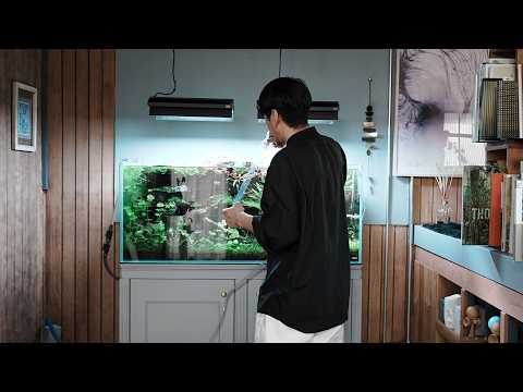 Aquarium 1200mm tank water change vlog - YouTube