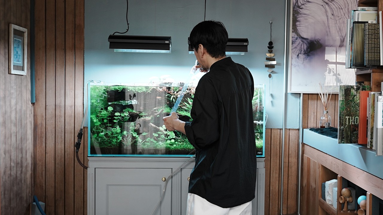 水槽1200引っ越すんで今日中来れる方4万急ぎなんで来られる際はホースお願いします！水抜いて持って帰ってください！前にコメントくれた方でも構いません！とりあえず急ぎなんですぐ来れる方コメントください！ Apology] We apologize for the issue with the pipe connections
