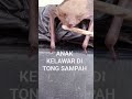 ANAK KELAWAR DI TONG SAMPAH