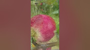 Crafting Juicy Leadership in the EpicLead Community