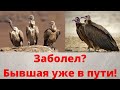 Попал в больницу? Бывшая зеберет твои деньги и дом.