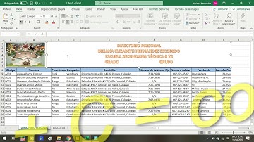 Práctica 4 Excel intermedio