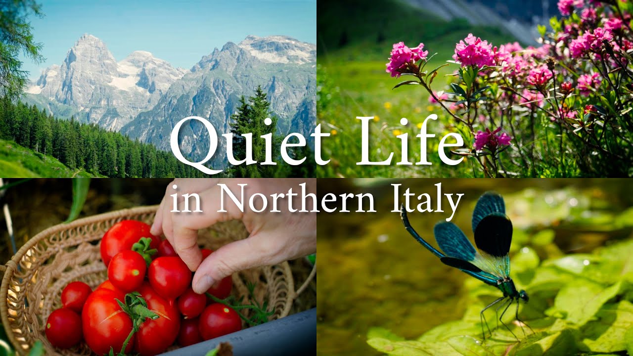 #26 Тихие дни в Альпах, танец стрекоз, летний урожай