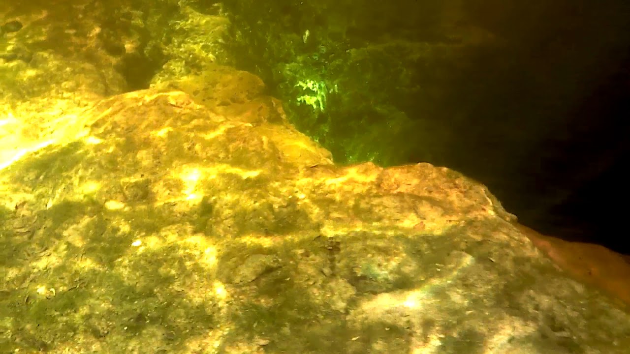 Devil's Ear - Spring water meets the Santa Fe river - YouTube