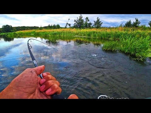 Видео: ЭТО ПРОСТО СКАЗОЧНАЯ РЫБАЛКА! АКТИВНЫЙ КЛЁВ РЫБЫ! НАСТОЯЩЕЕ СЧАСТЬЕ! Ловля на спиннинг 2023.