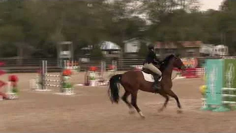 Video of CHELLISTO ridden by Victoria Haber from S...