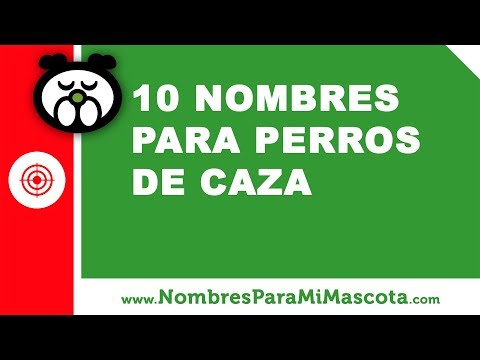 Video: Nombres únicos de perros de caza