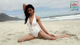 Kingfisher Calendar 2020 August