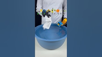 You Won’t Believe What Happened When I Tried to Float a  LIZARD ON Tissue! 😱🔥